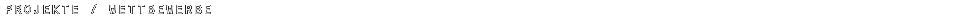 PROJEKTE / WETTBEWERBE